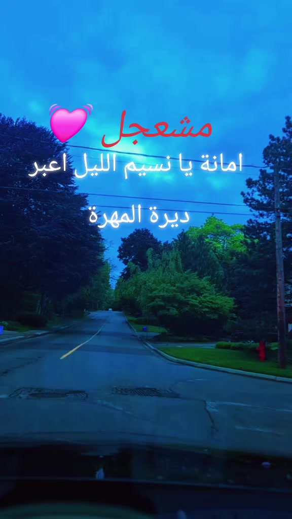 @مايا 🇾🇪🇨🇦
