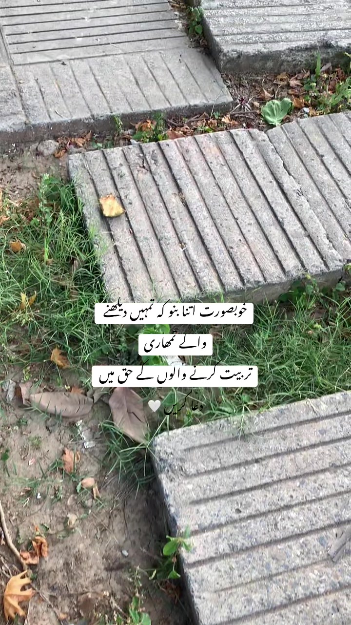 @☾✩⋆