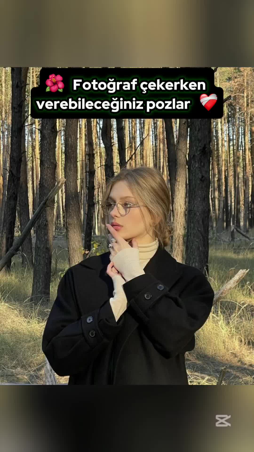 @🌼Poz&ouml;nerileri✨