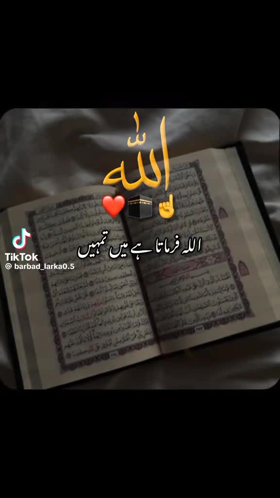 @™AMIR°HUSAIN©®