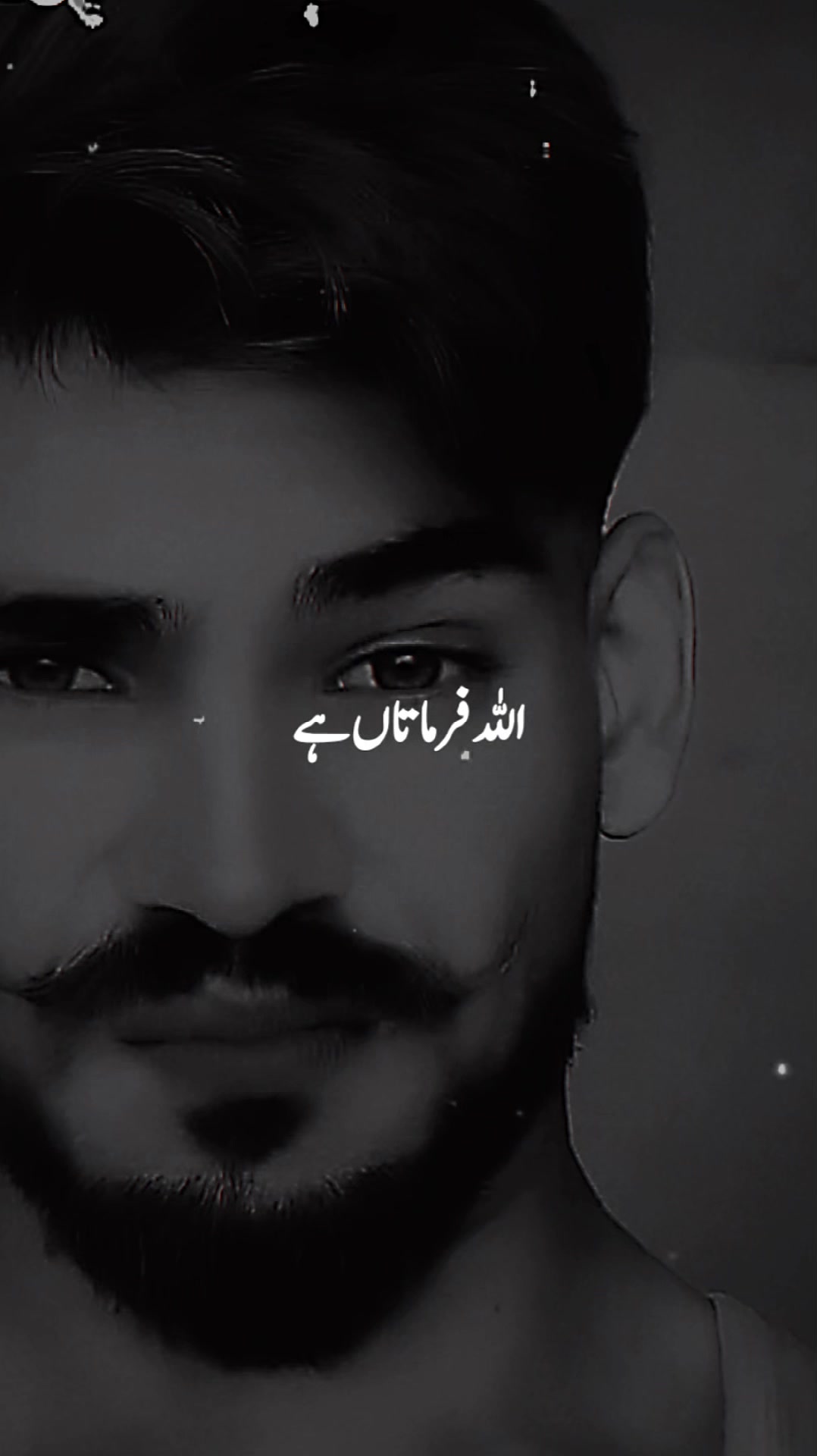@ALI DON