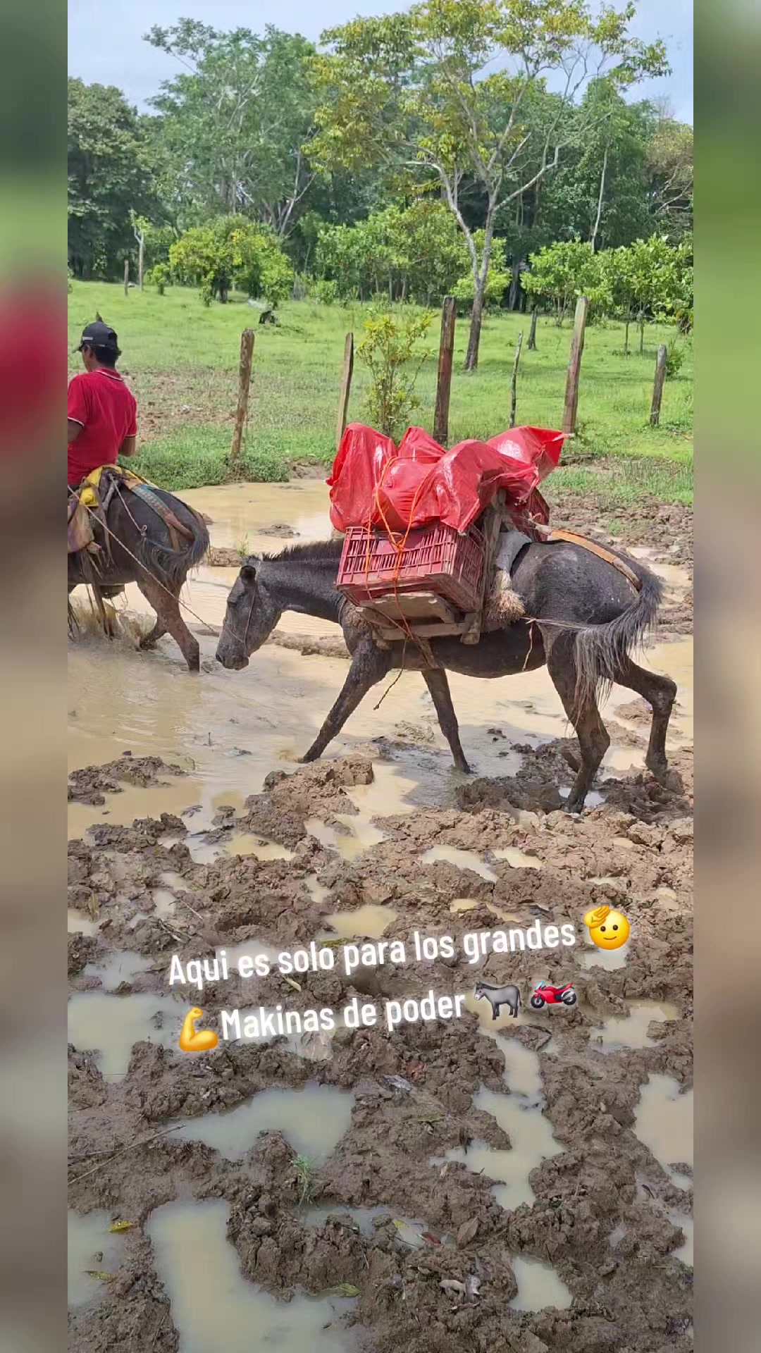 @Řobleto+🐄/Rancho (🐎)+🤠