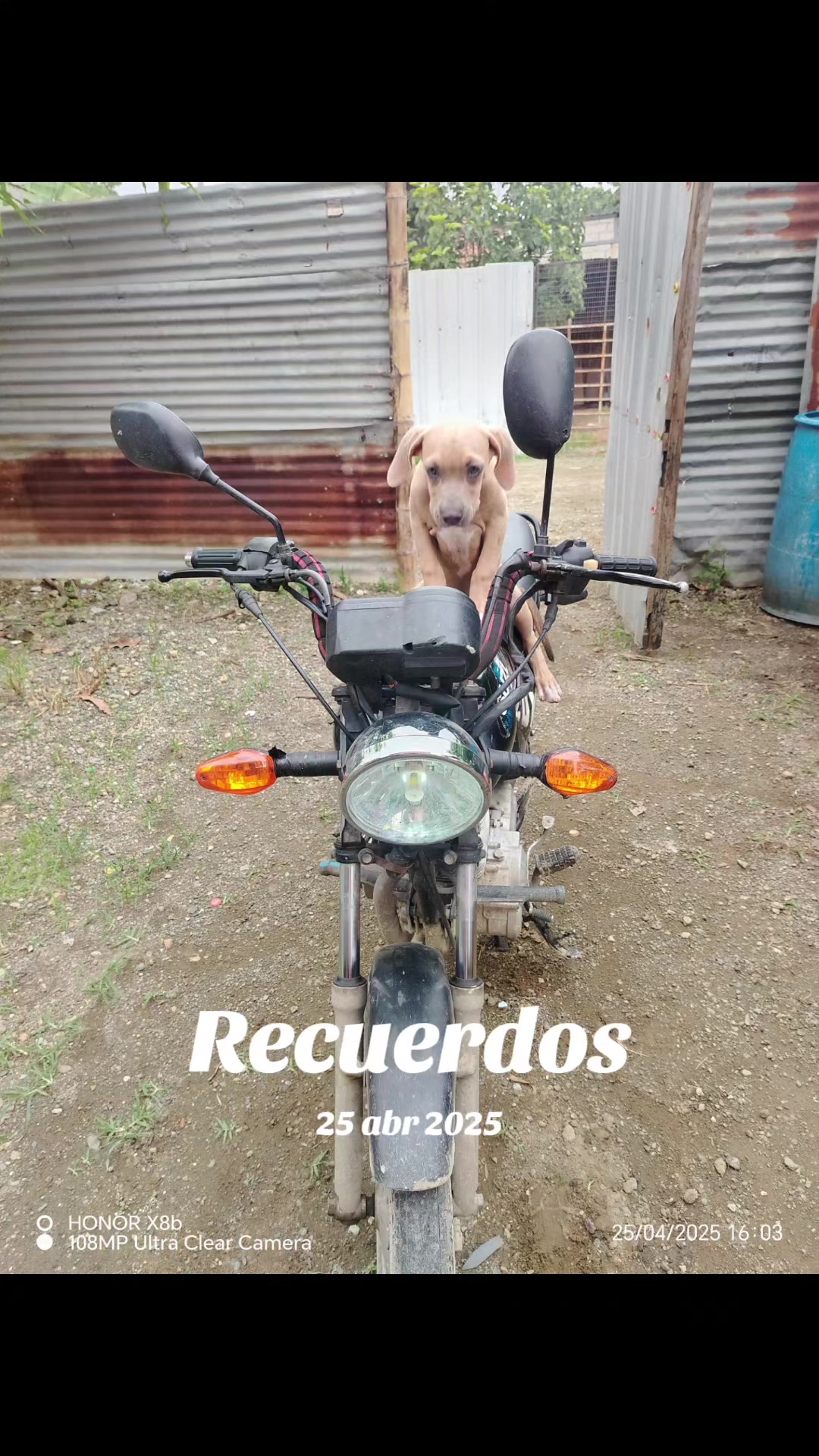 @Ⓜ️ena_caleñit😍 🇨🇴🧿🥰