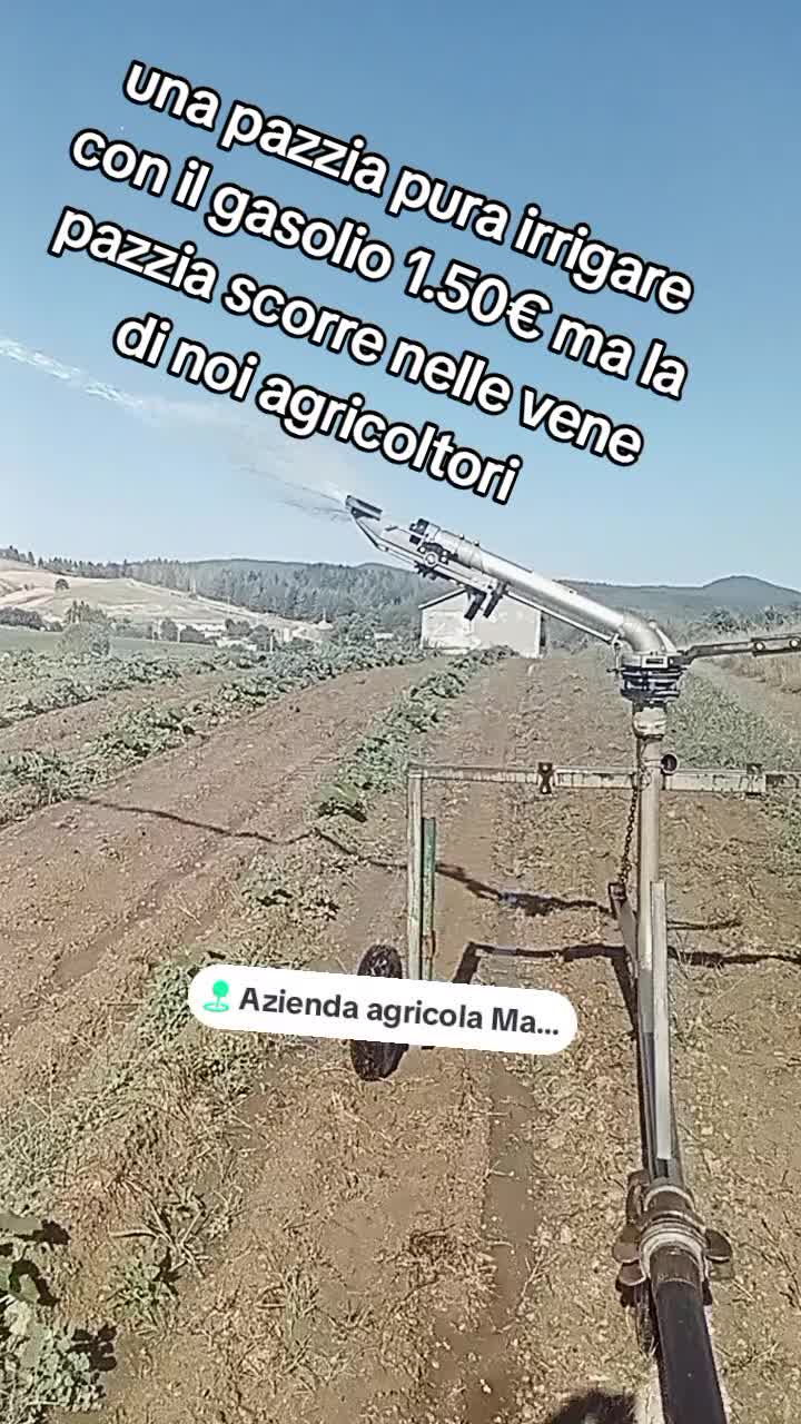 @IL Brigante della sila