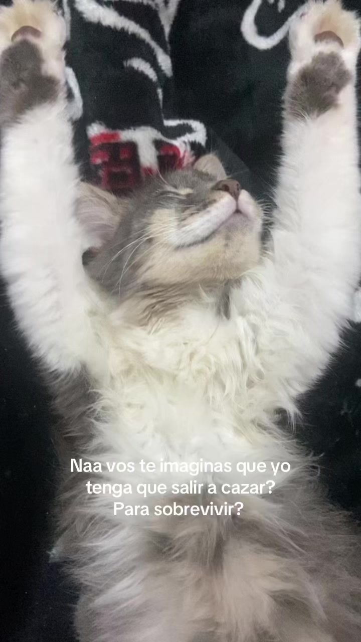 @Karenita✨