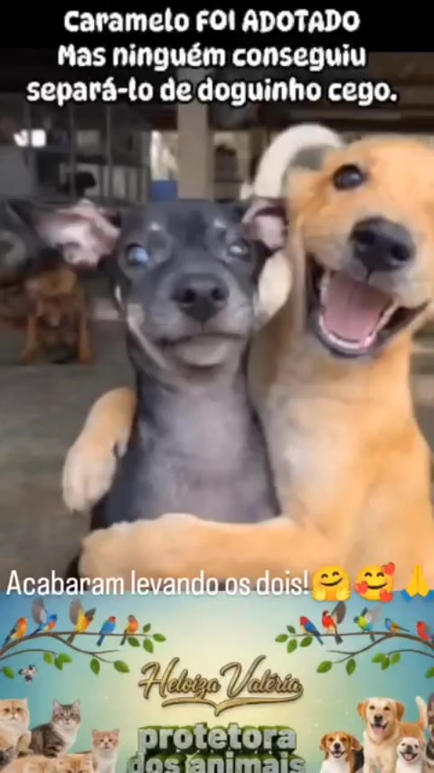 @Heloiza Valeria