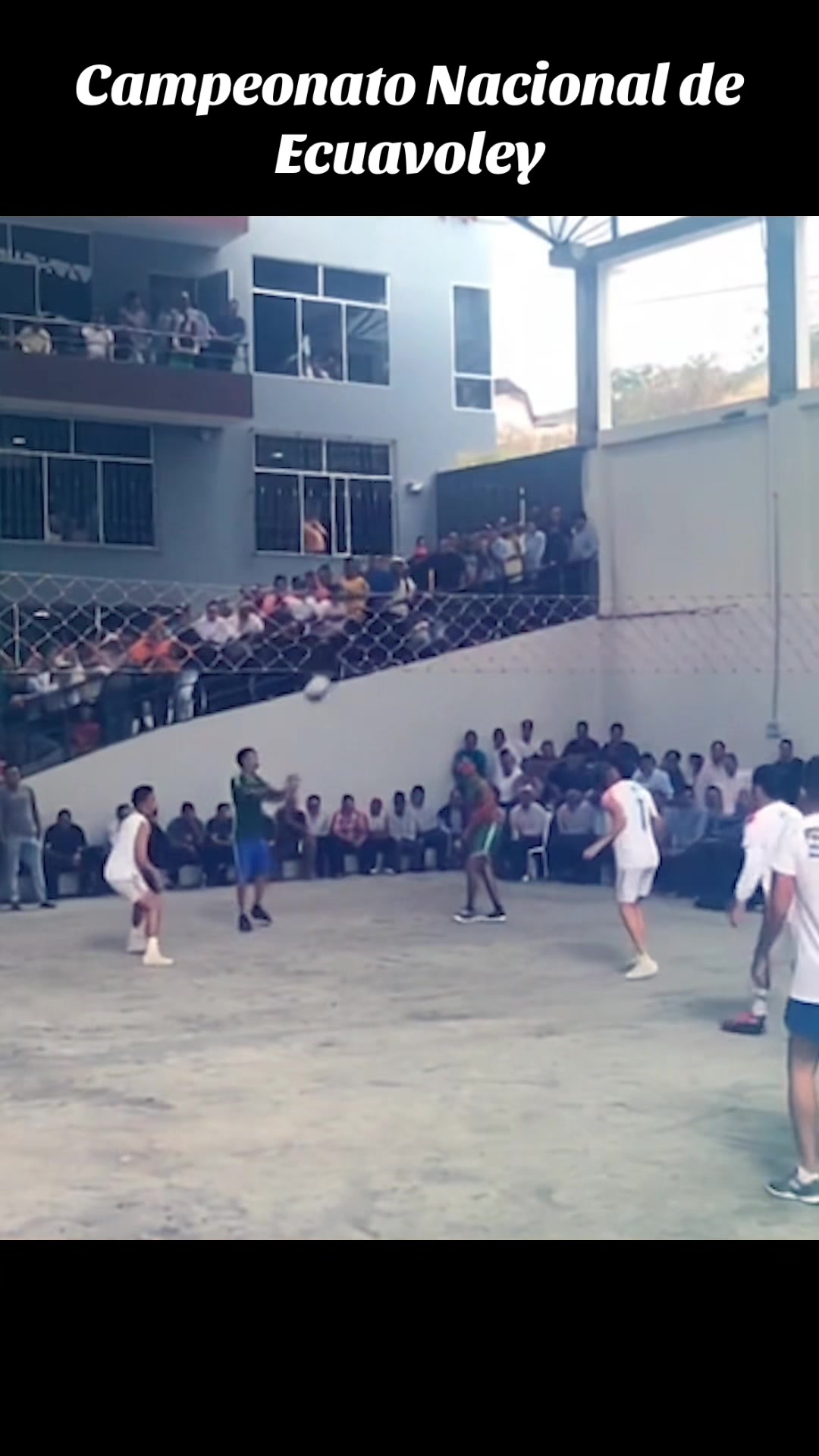@cultura.gad.calvas