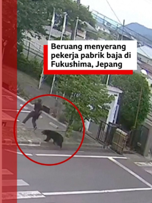 @bbcnewsindonesia