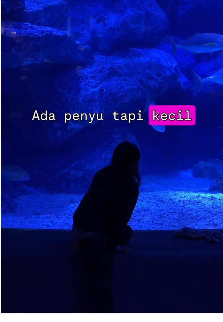 @mawarayuaziz🇲🇨🇯🇵
