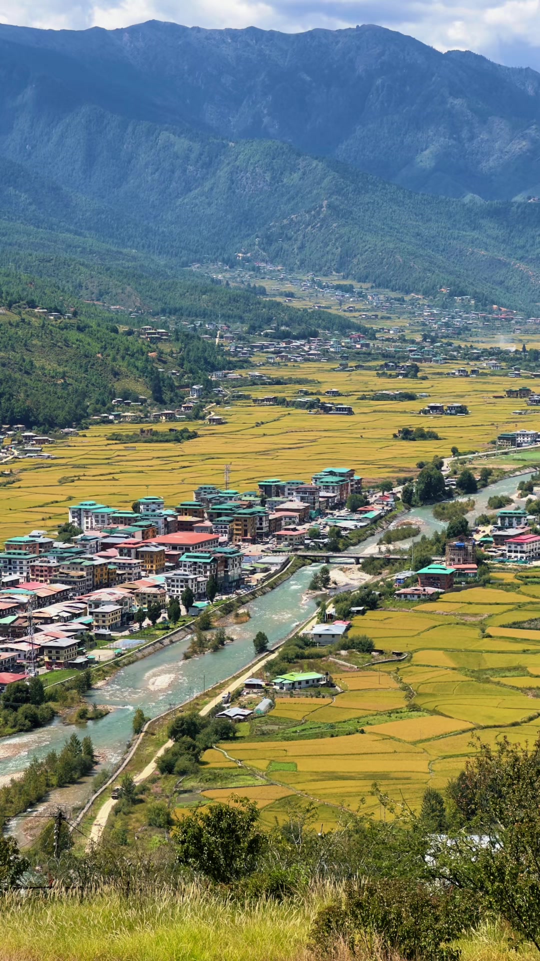 @Kinley Wangchuk