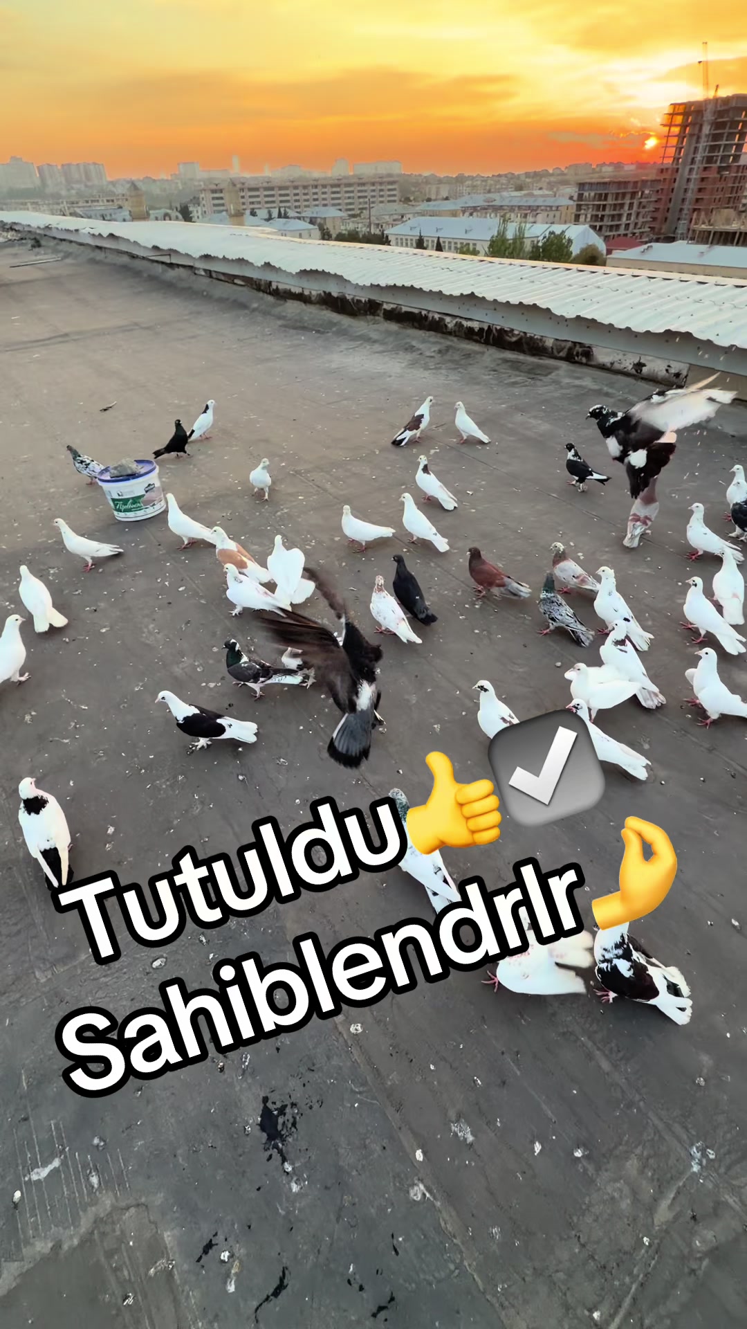 @XAM_BAZ🤘