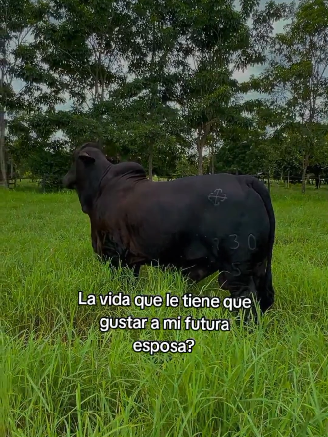 @Robin🐄🐄🤠🤠🐎🐎🇬🇹🇬🇹