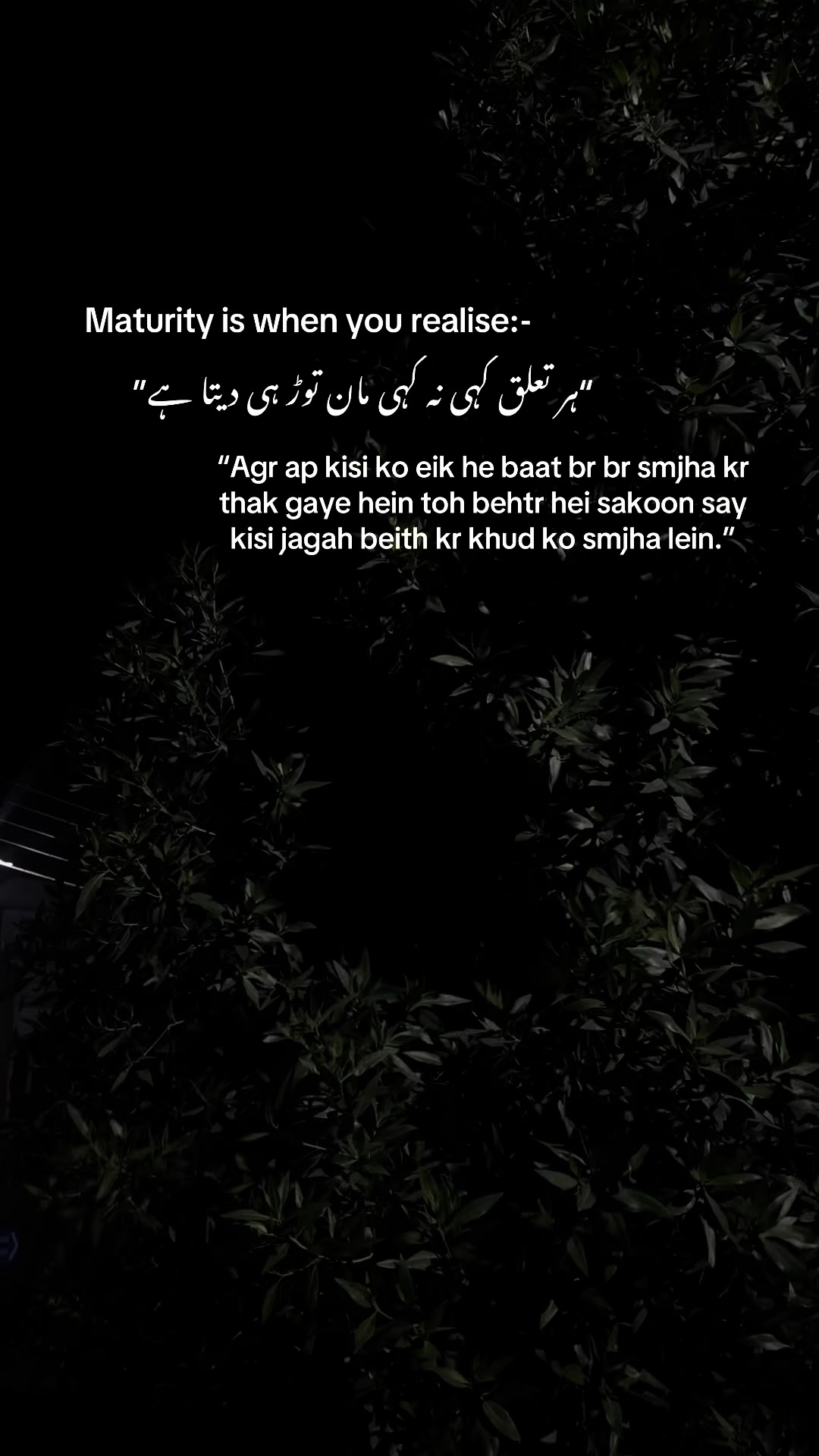 @MarیamShah