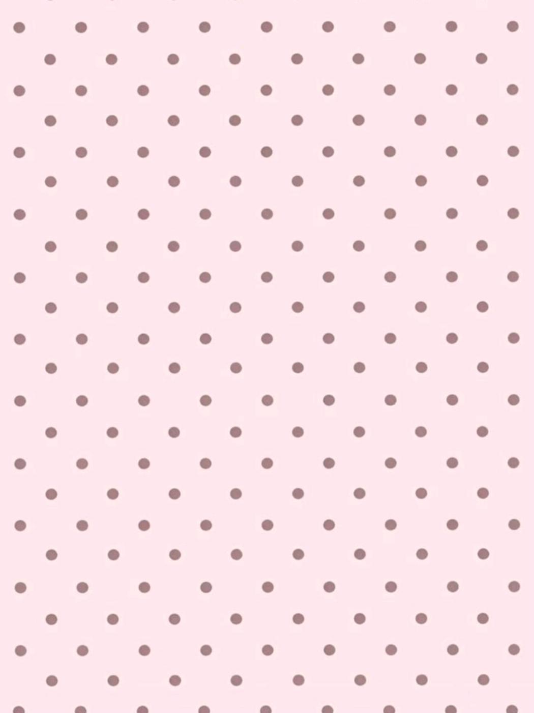 @🍥⋆. 𐙚˚࿔ rᥱᥒі 𝜗𝜚˚⋆🍥