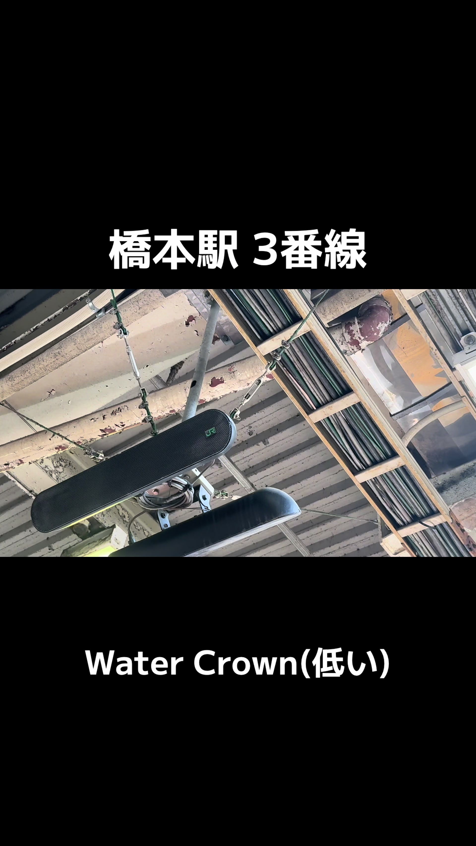 @エレベーター動画投稿垢(東京愛知マニア)