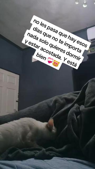@LUPITA MARTINEZ 😻