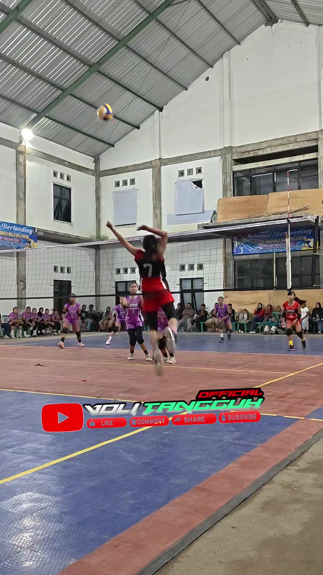 @voli tangguh