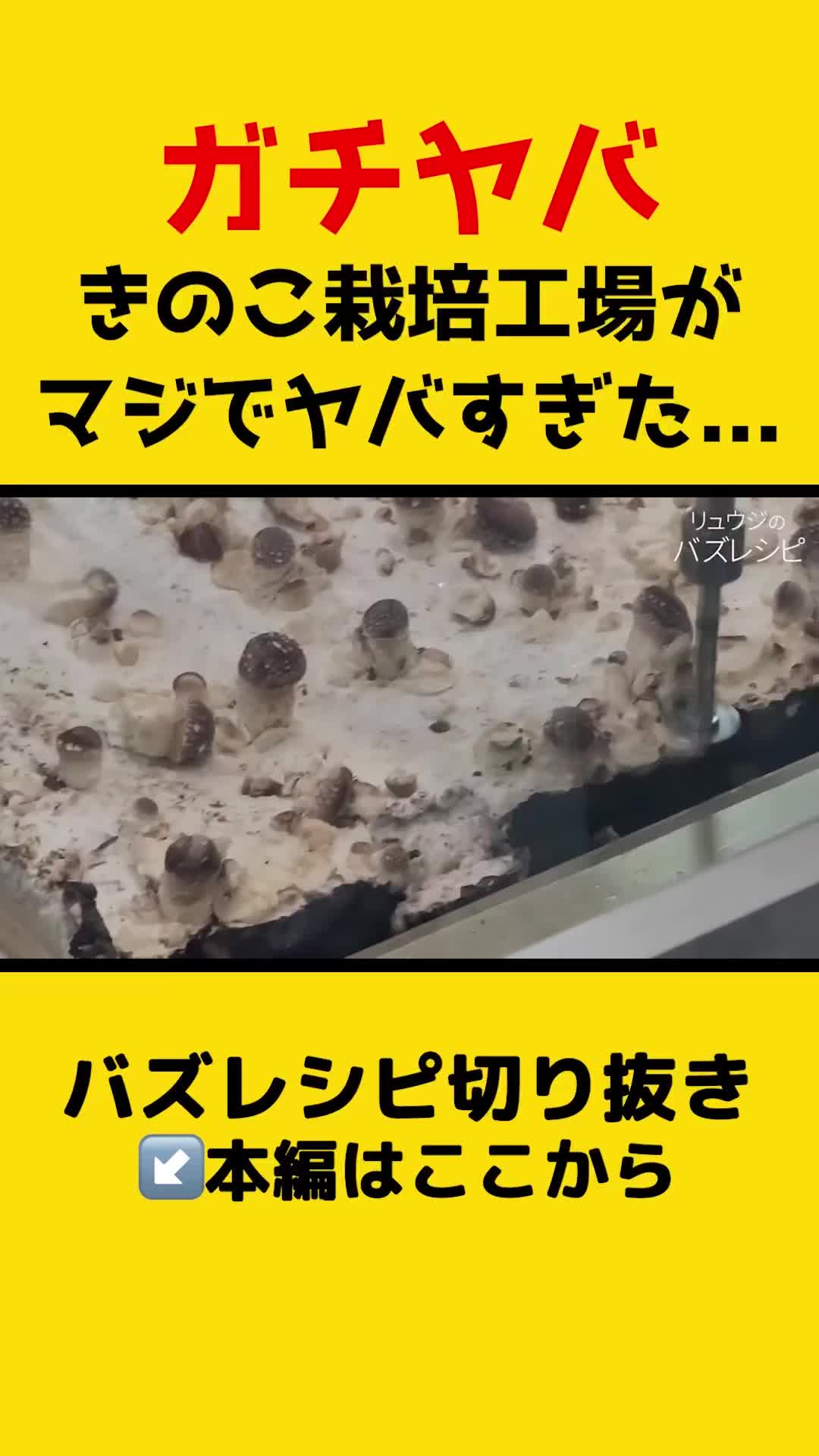 @ryuji_no_kirinuki