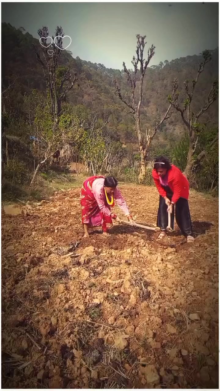 @Preety