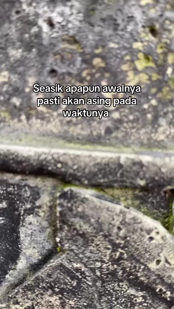 @𝐊𝐚𝐣𝐢 𝐫𝐨𝐟𝐢𝐪