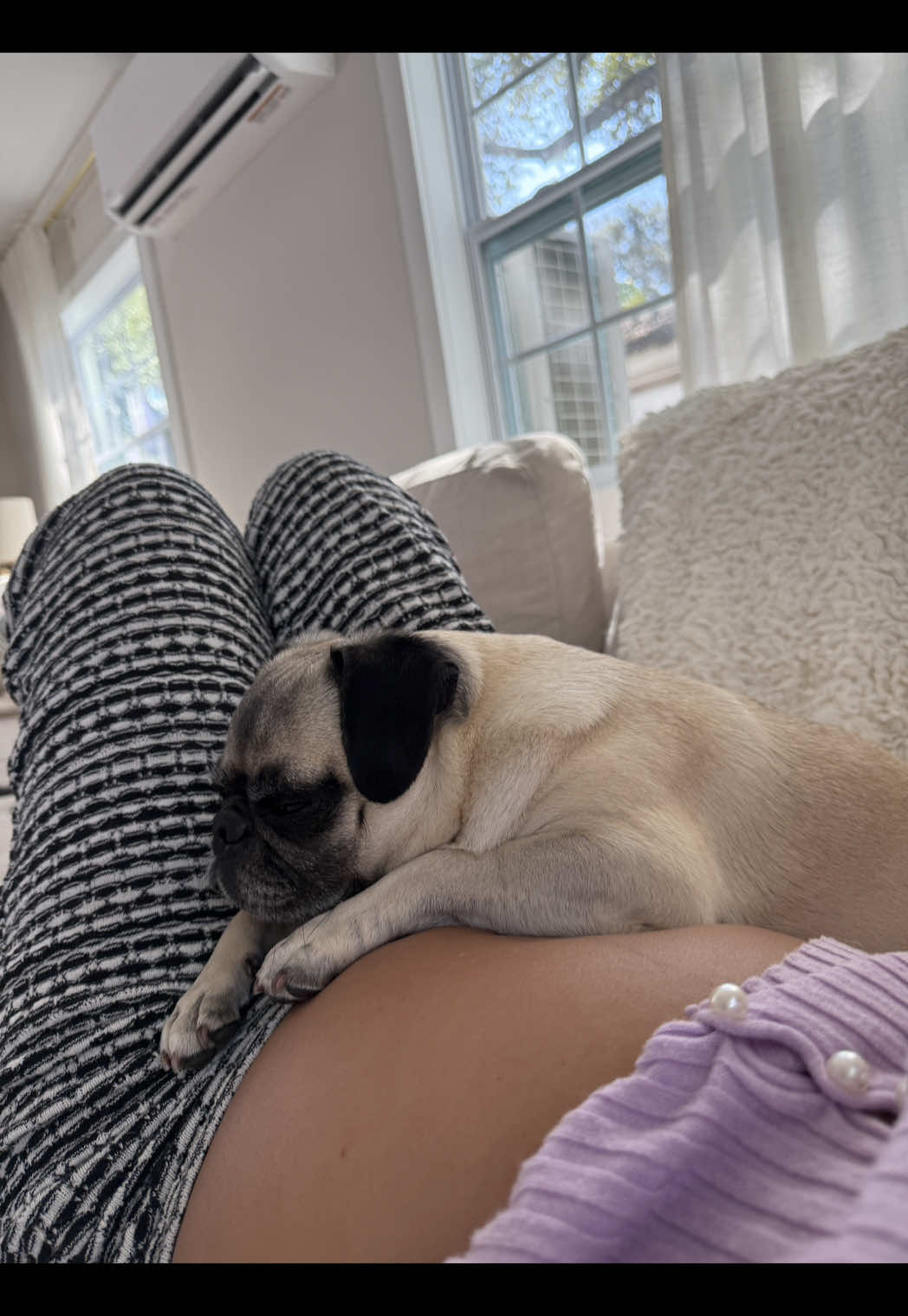 @sassypuggy