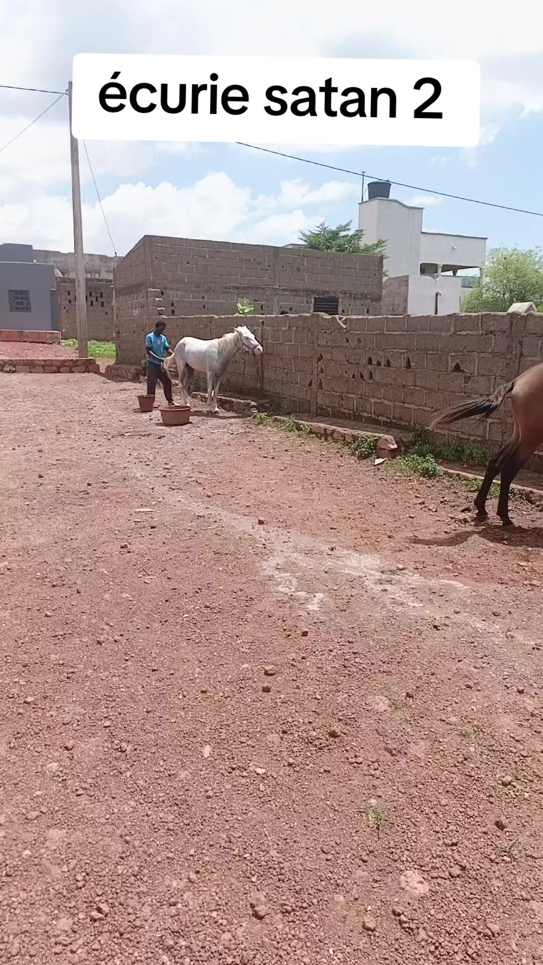 @Satan 2 Pagala 🥷🌶️