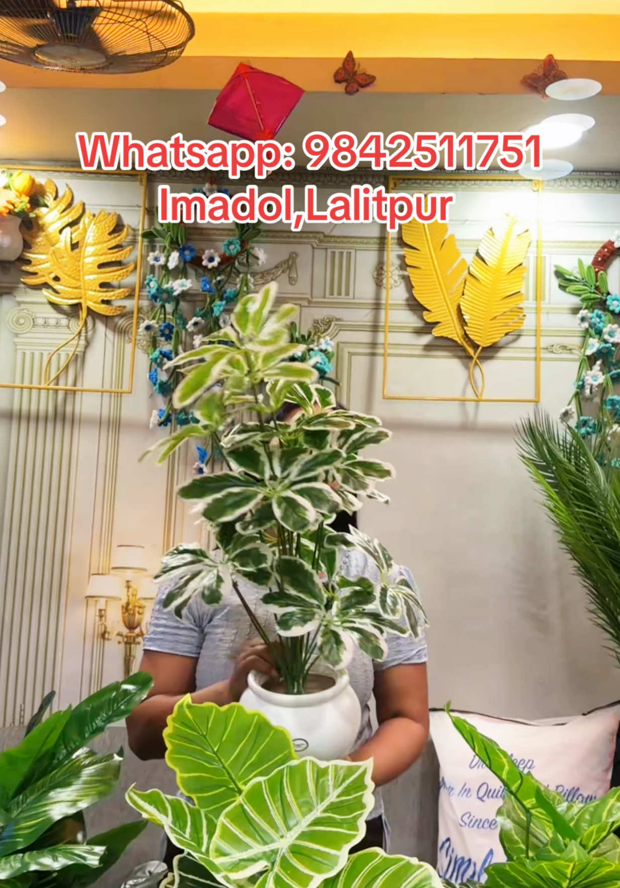 @wallpaper Dhankuta Home Deco