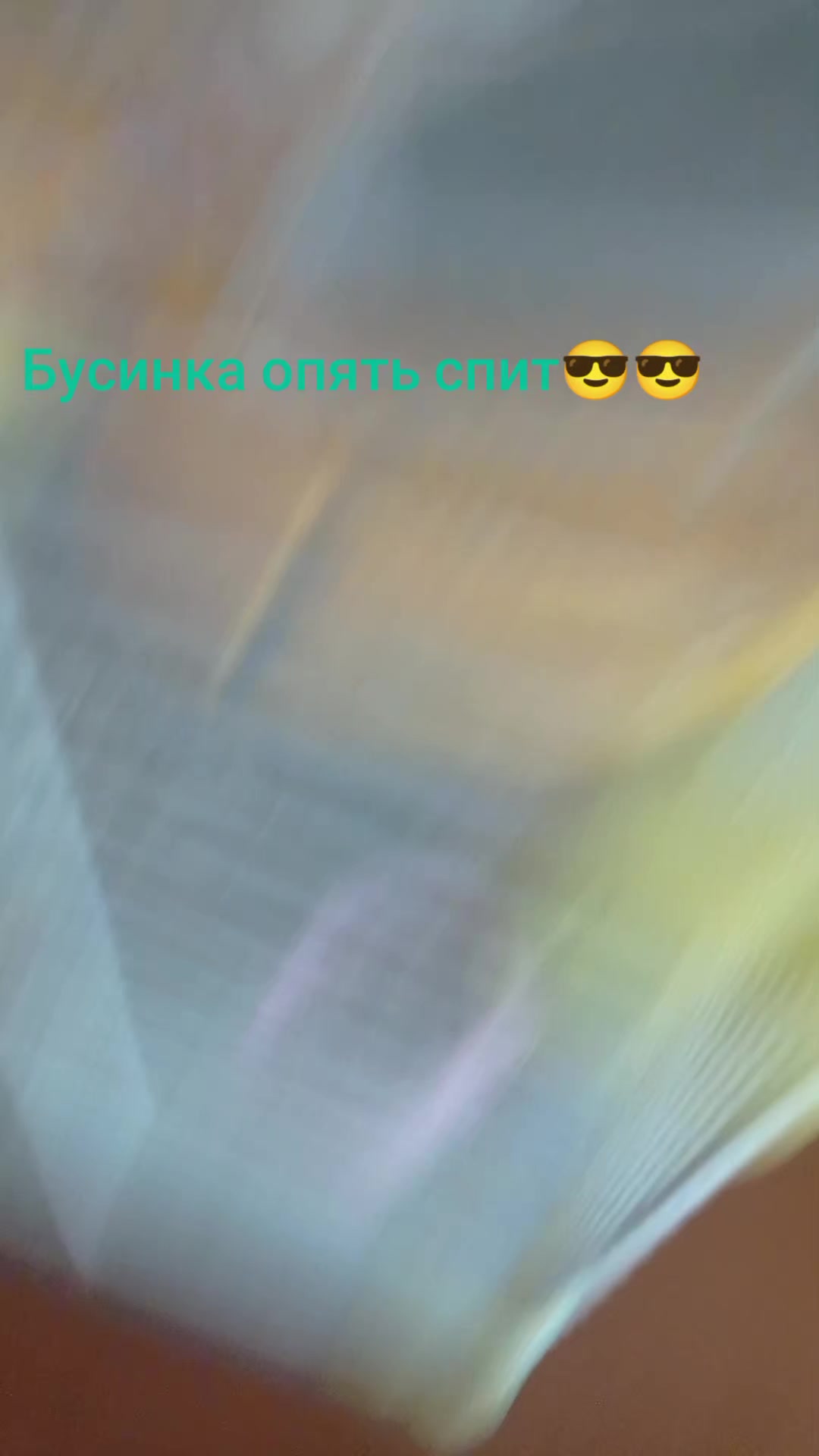 @⭐💤✿❀Мина❀✿💤⭐🐱✅🐶✅