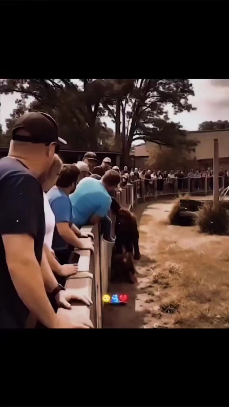 @Aurangraib