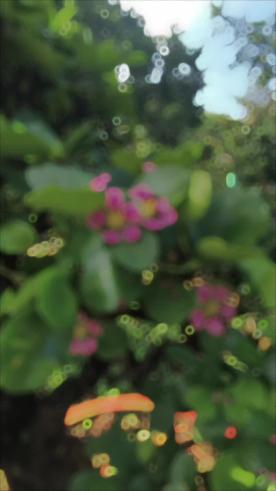 @Tiến Gò công
