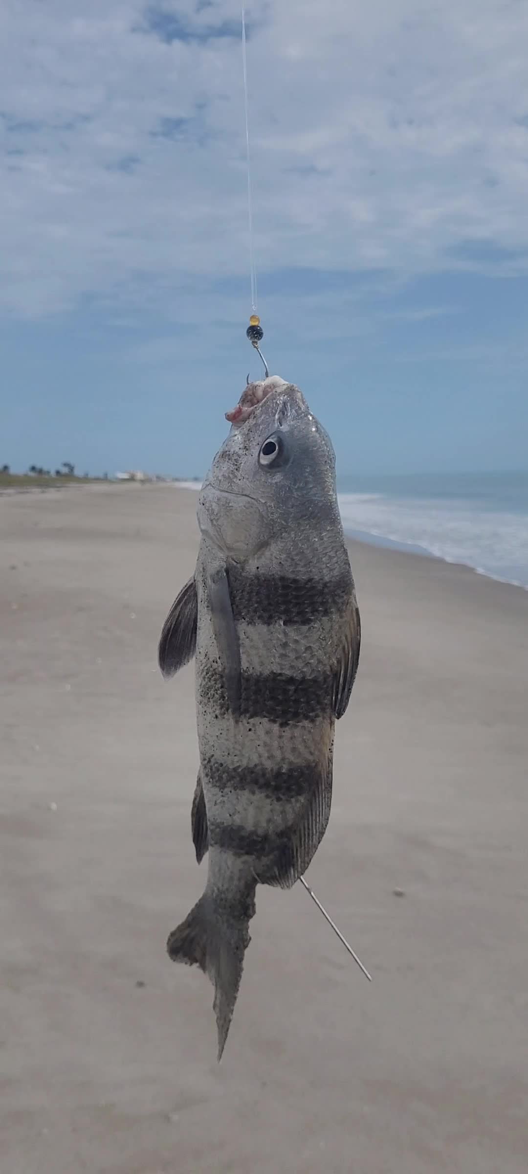 @Ghost of Space Coast Fishing