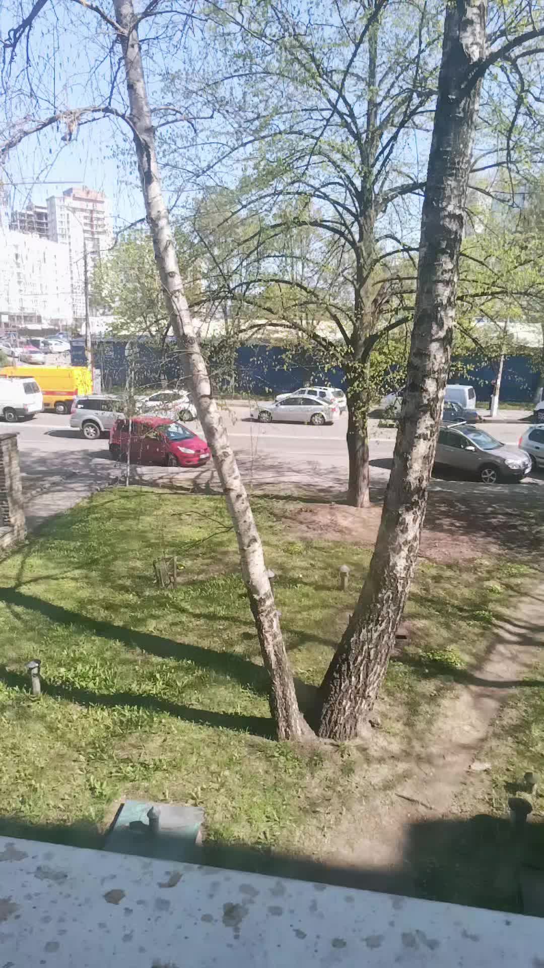 @котик