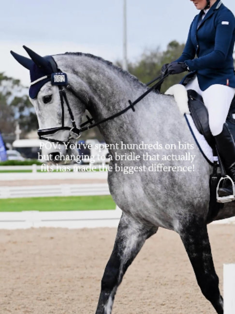@LumiereEquestrian