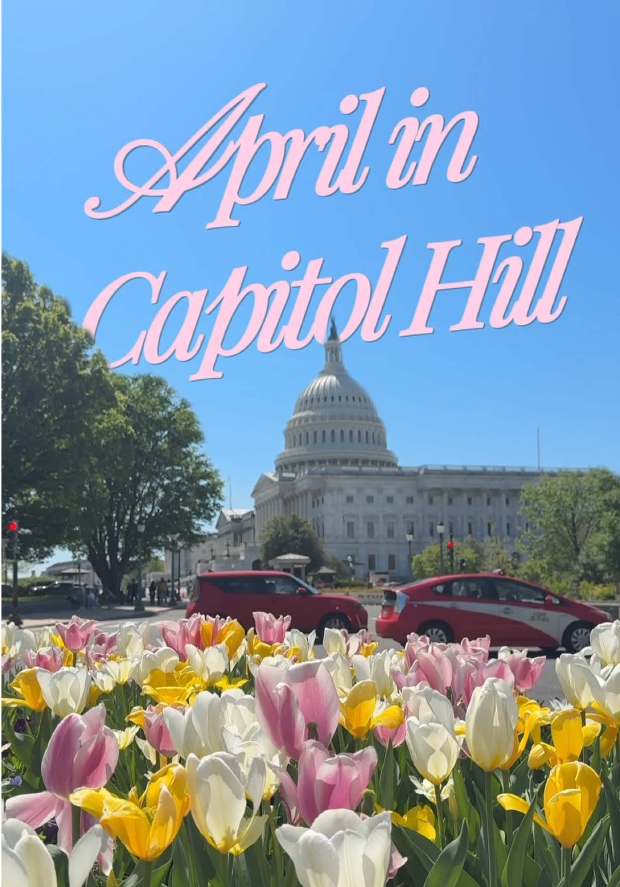 @Visit Washington, DC