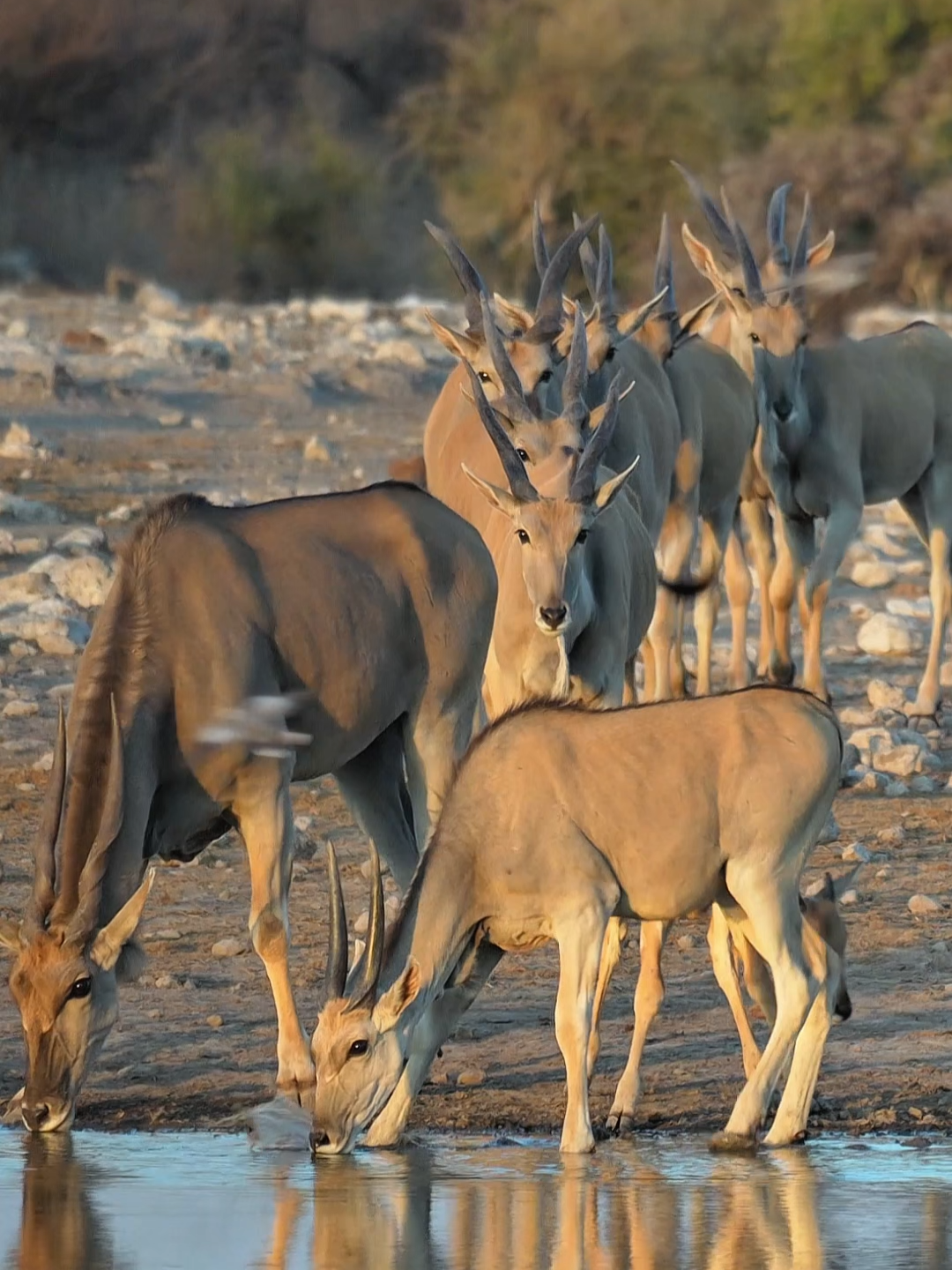 @Madbookings Travel Namibia