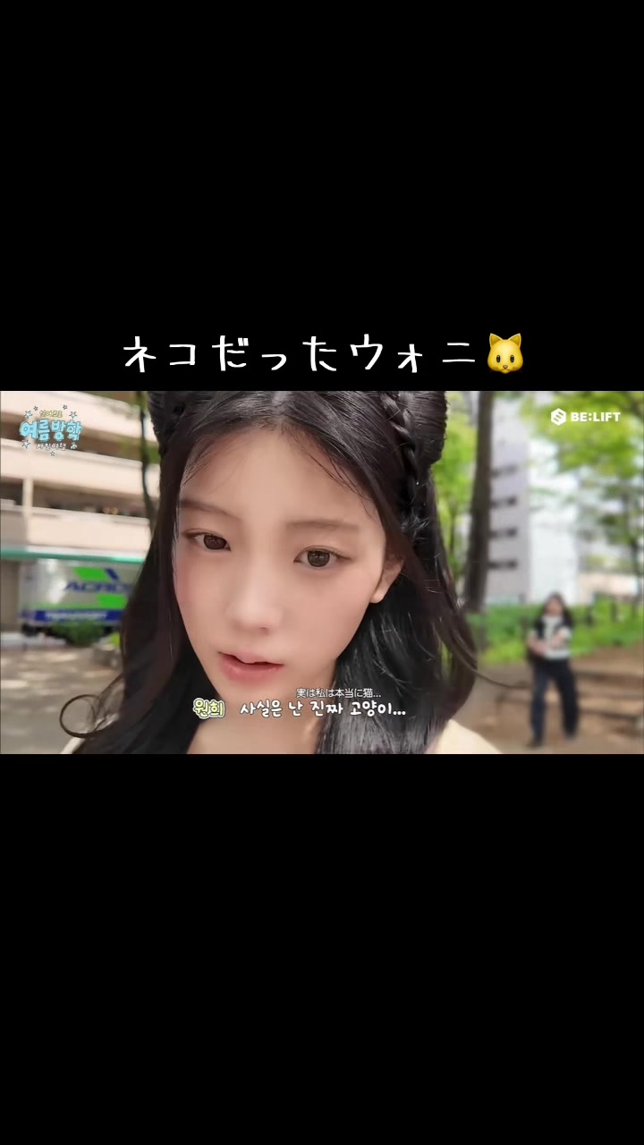 @日本沈没🐯🐱🐶🦢🐣