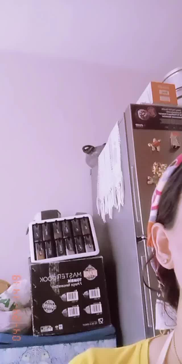 @Dilbirin anlamı yaralı gönül
