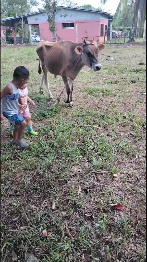 @alialvarado739