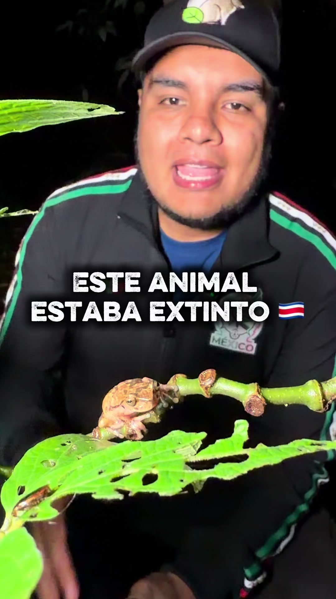 @Jair Herrera 🐆