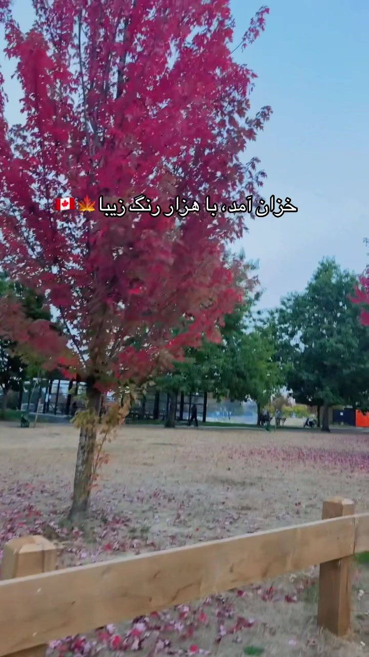 @Roya Kakar