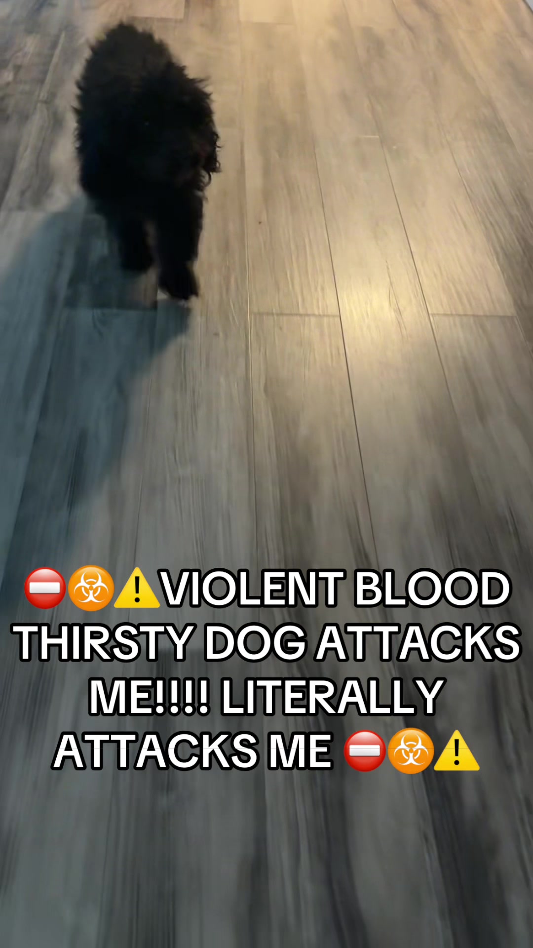 @Kamsi