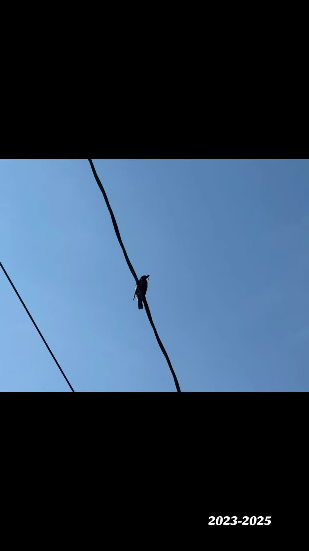 @kaagyboy