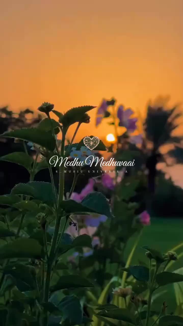 @&hearts;𝙈𝙐𝙎𝙄𝘾 𝙐𝙉𝙄𝙑𝙀𝙍𝙎𝙀&hearts;