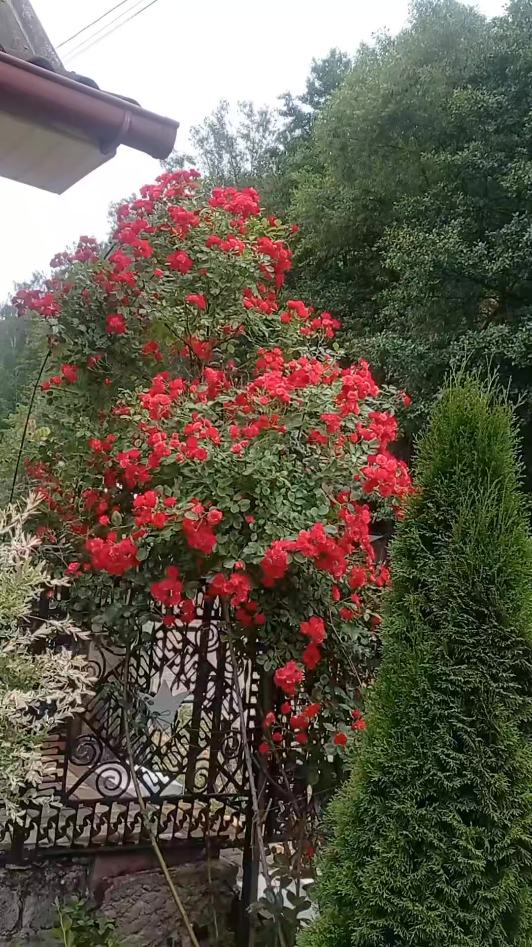 @Аня Мартинюк