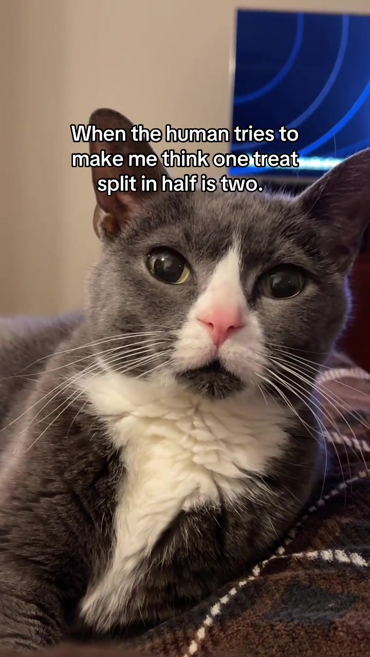 @Trixie the Tuxie