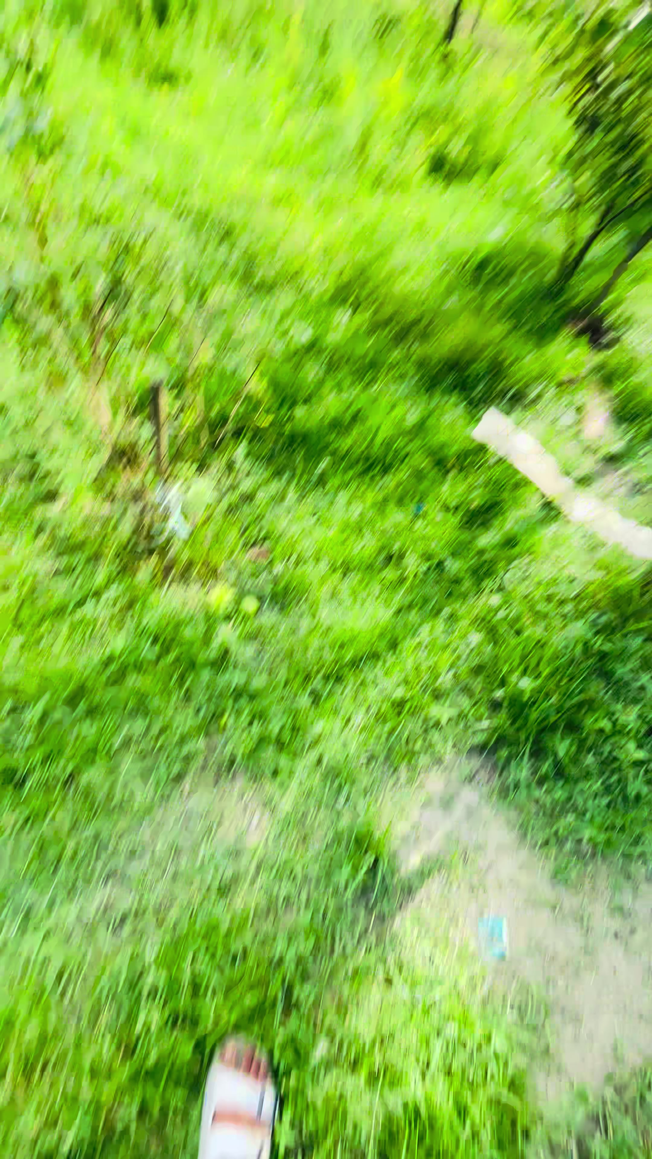 @—͞𝐍𝐈𝐑𝐎𝐁 𝐁𝐛𝐳 !¡