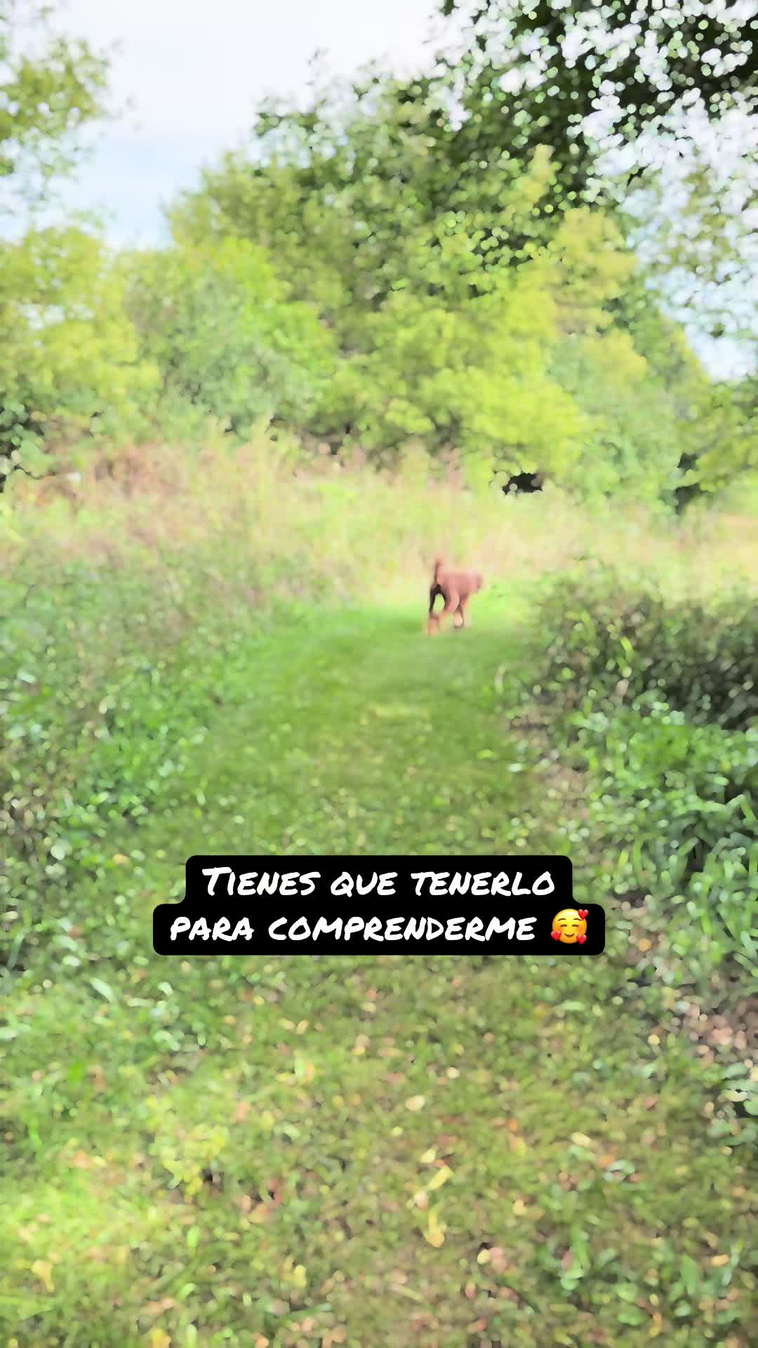 @Reyna y Churro 🐶😍