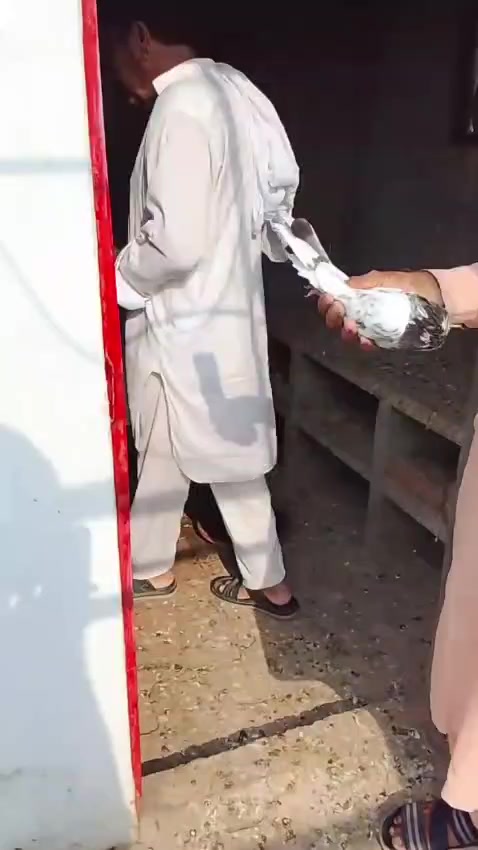 @ustadfarooqazamkhan