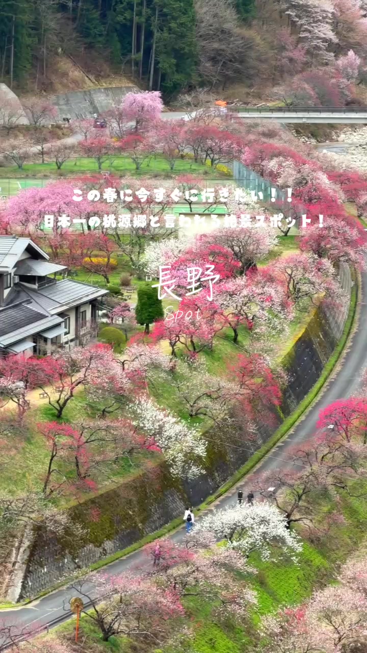 @Maru【全国旅する愛知県民】