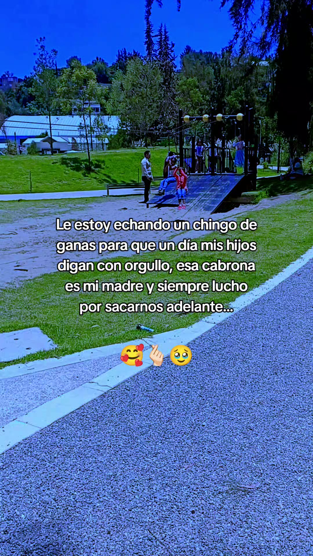 @darii